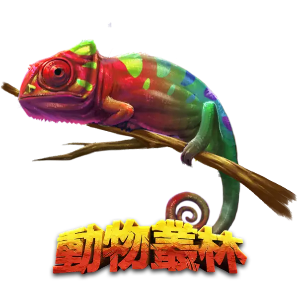 動物叢林