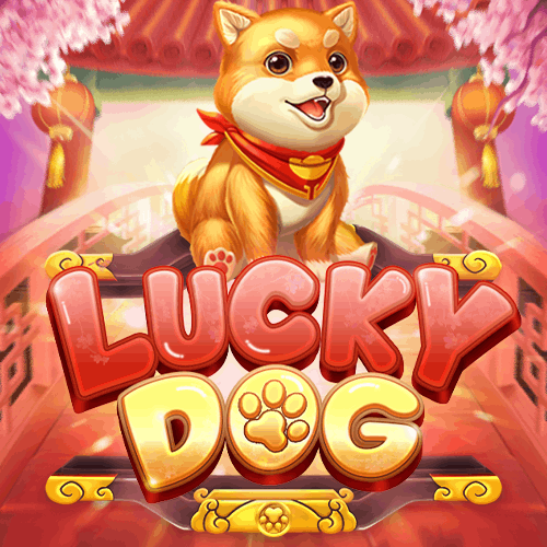 Anjing yang beruntung