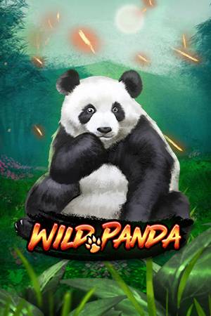 ေတာရုိင်းpanda ဝက်ဝံ