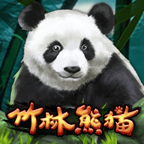 竹林熊猫