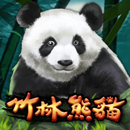 竹林熊貓
