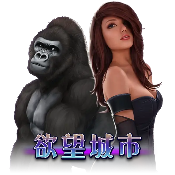 欲望城市