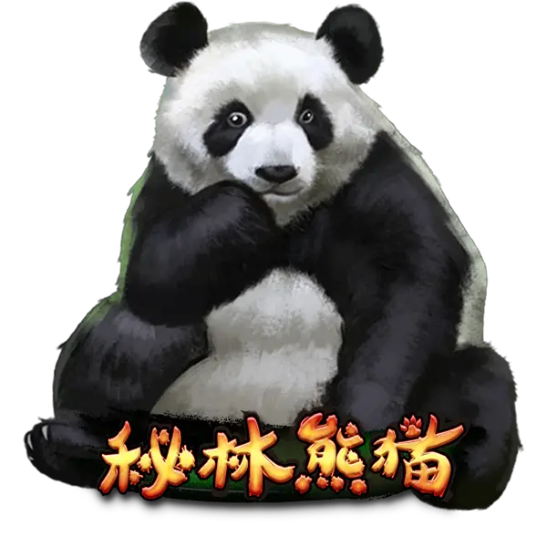 秘林熊猫