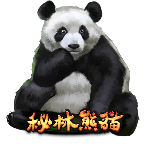 秘林熊貓