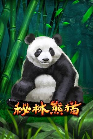 秘林熊猫