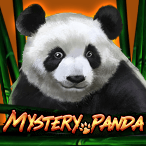 Panda hutan misterius